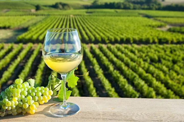 A glass of chilled white wine